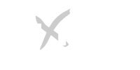 Aexis