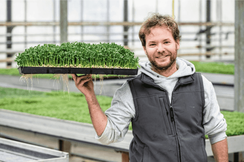 Pachagreens zet crowdlending in om te groeien met microgroenten